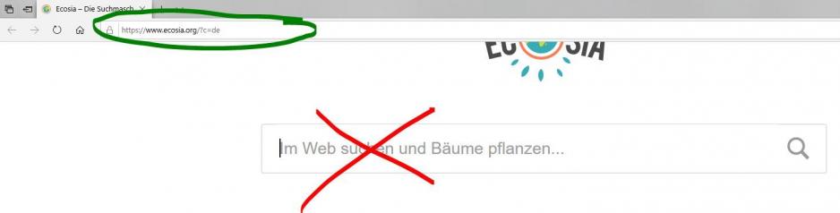 Edge: Nutzen Sie nicht die Suchfelder!
